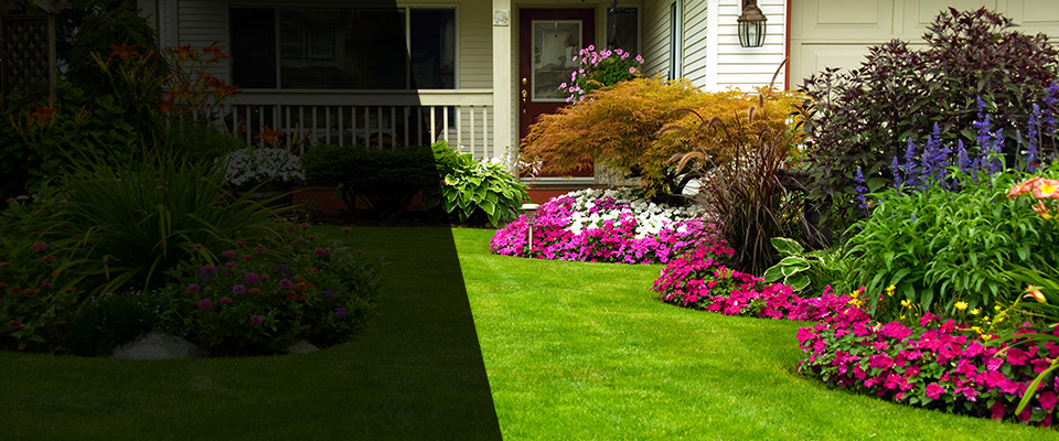 Mays Landing Landscapers